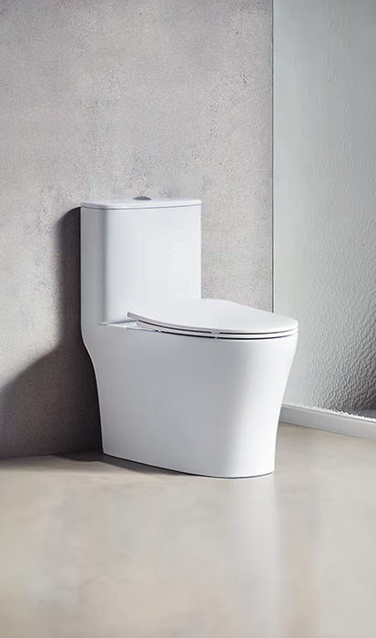 Satinel Rimless Water Closet Toilet Bowl WC-1832WD