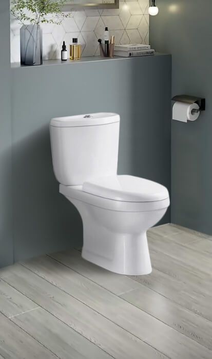 Satinel Rimless Water Closet Toilet Bowl WC-2020S