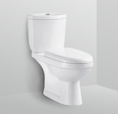 Satinel Rimless Water Closet Toilet Bowl WC-2020S